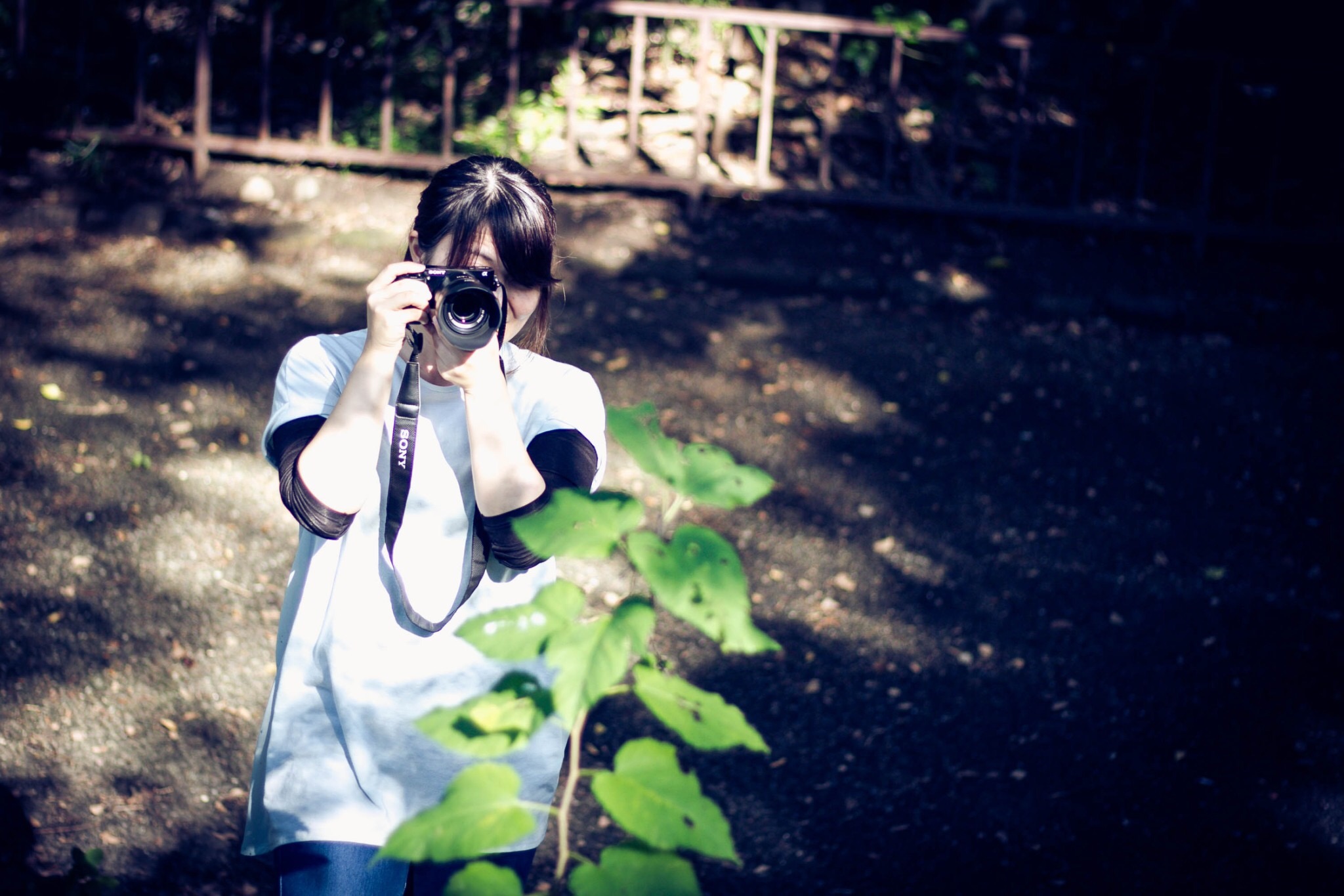 しのさんプロフィール画像